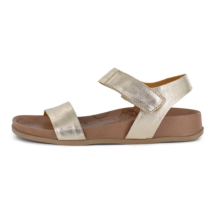 Gold sandal on a white background