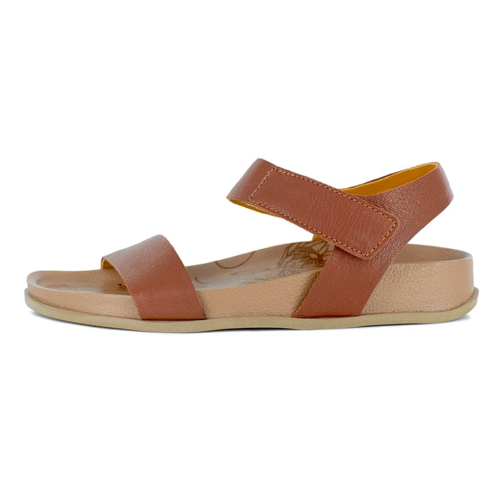 Brown sandal with a white background