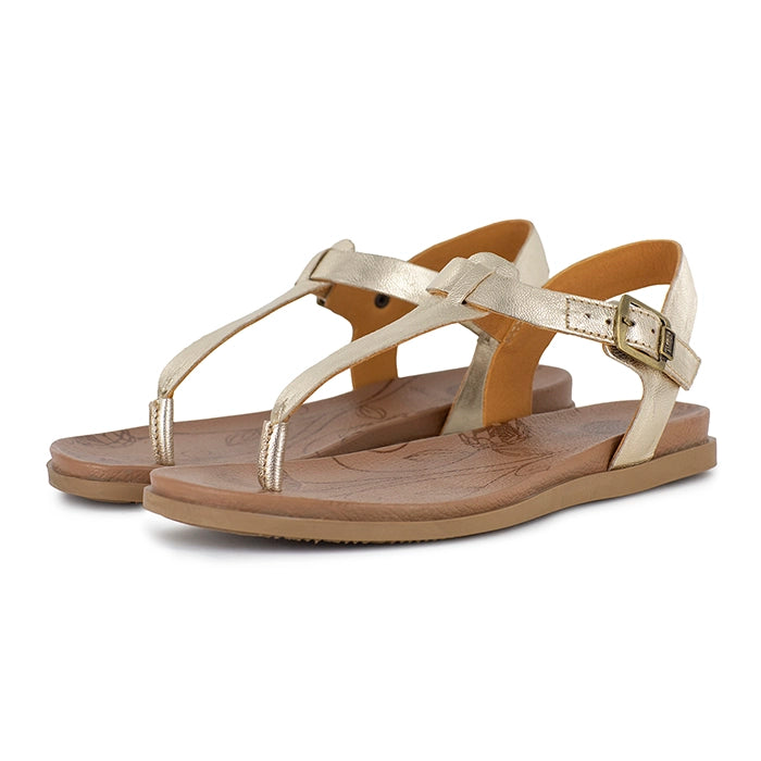 Pair of gold sandals on a white background