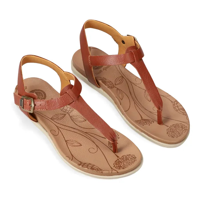 Brown sandal with gold buckle.