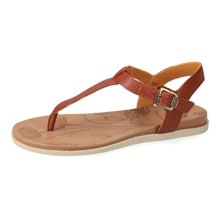 Brown sandal with gold buckle.
