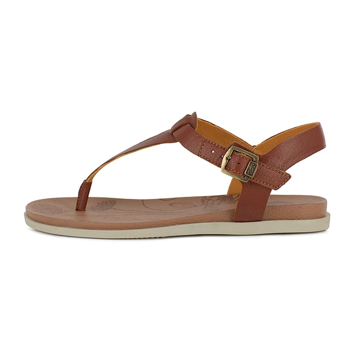 Brown sandal with a gold buckle on a white background