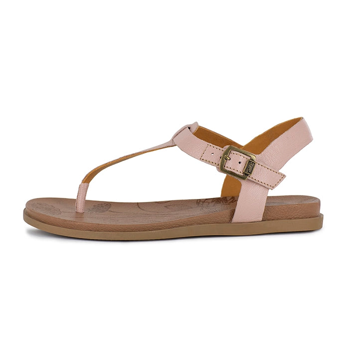 Pink sandal with a strap and gold buckle on a white background