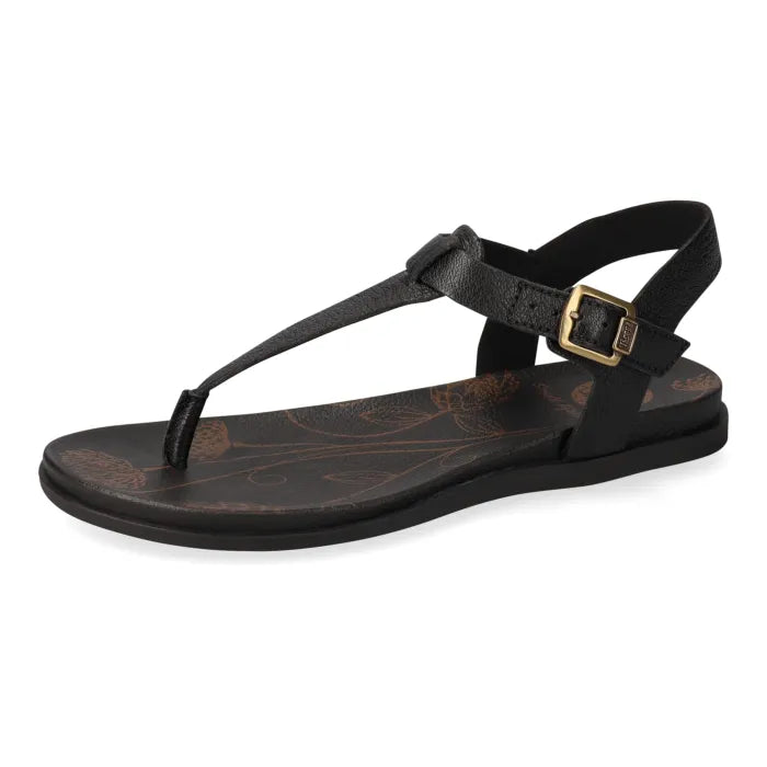 Black sandal with a gold buckle.