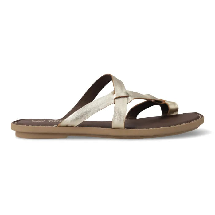 A single women's flat sandal with metallic champagne-gold crisscross straps and a dark brown footbed, shown in a side profile on a white background.