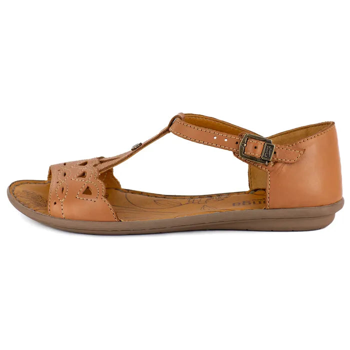 Brown sandal with a buckle on a white background
