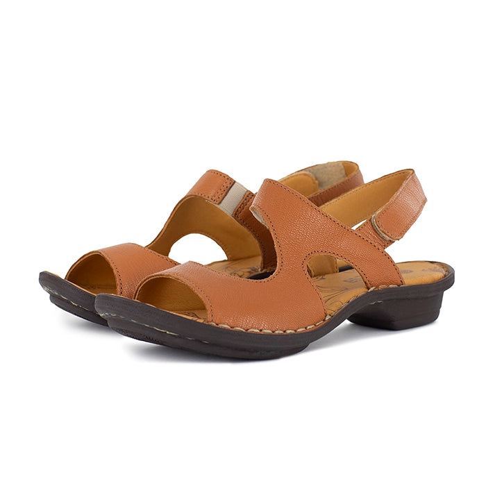 Pair of tan sandals on a white background