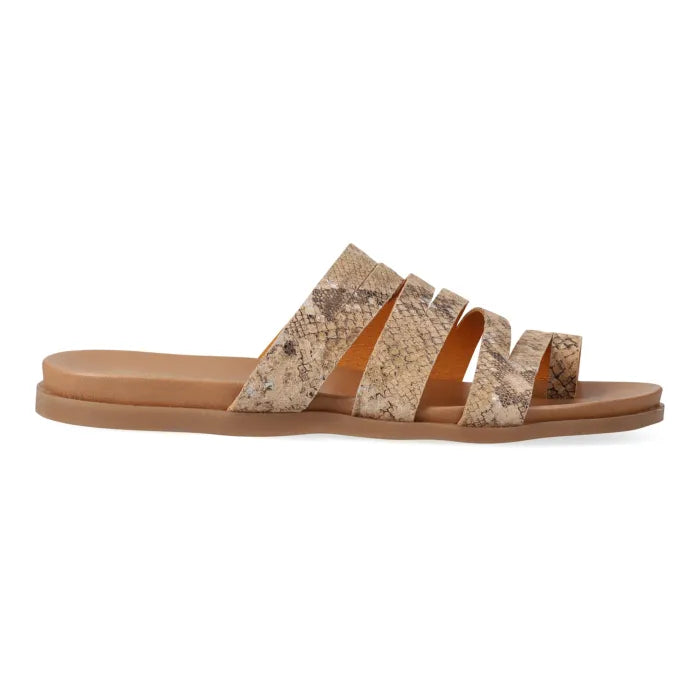 Pair of sandals with snake print straps on a white background