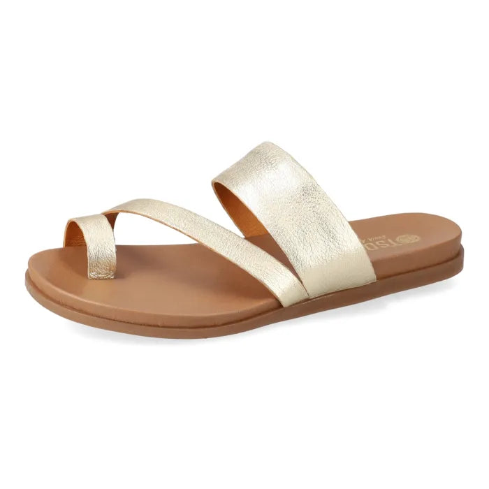 Pair of gold sandals on a white background