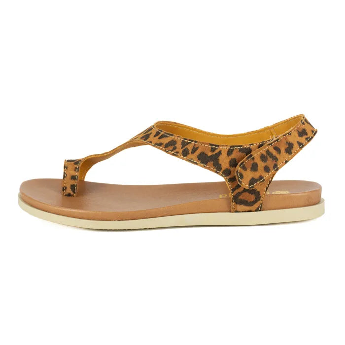 Leopard print sandal on a white background