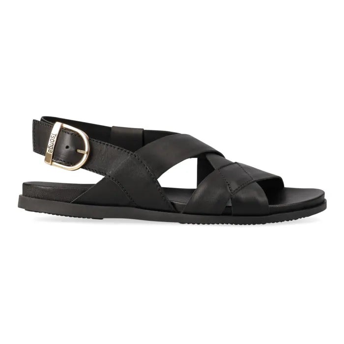 A black leather flat sandal with crisscrossing straps, an adjustable ankle strap, and a gold-tone metal buckle, shown in profile against a white background.