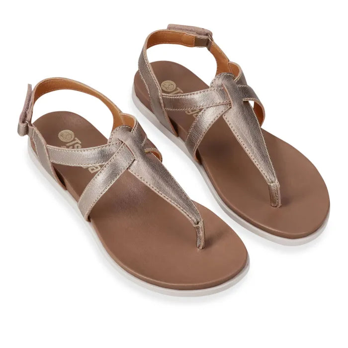 Pair of metallic sandals with tan straps on a white background