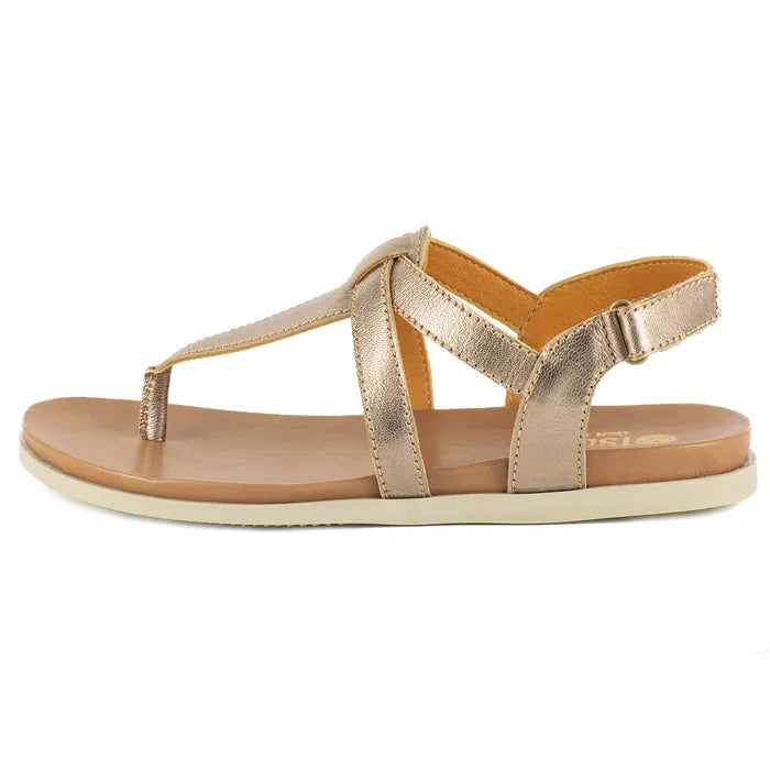 Gold sandal with a white background