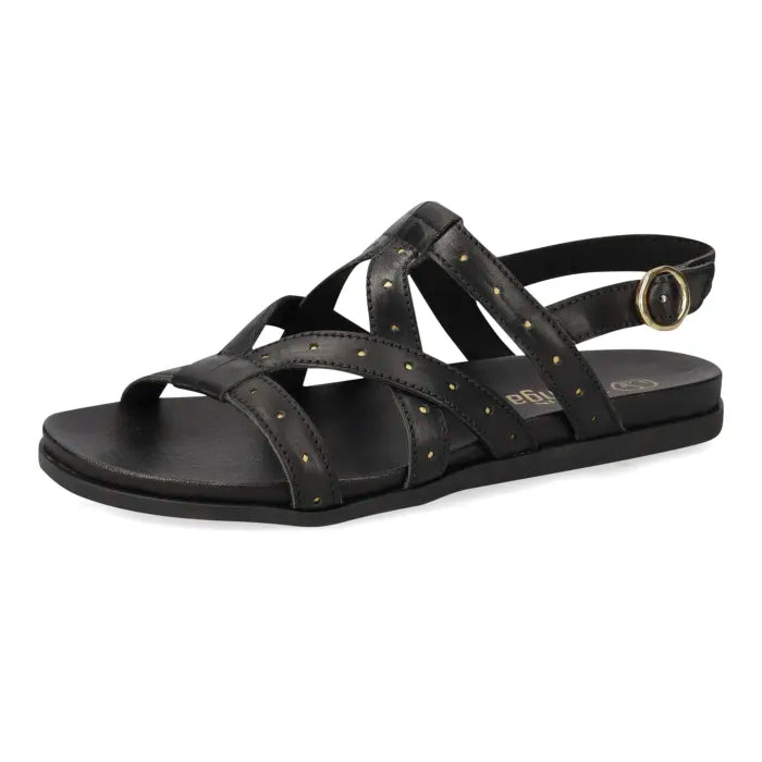 A black leather flat sandal with multiple crisscross straps adorned with small metallic holes, an adjustable ankle strap, and a gold-tone buckle, shown against a plain white background.