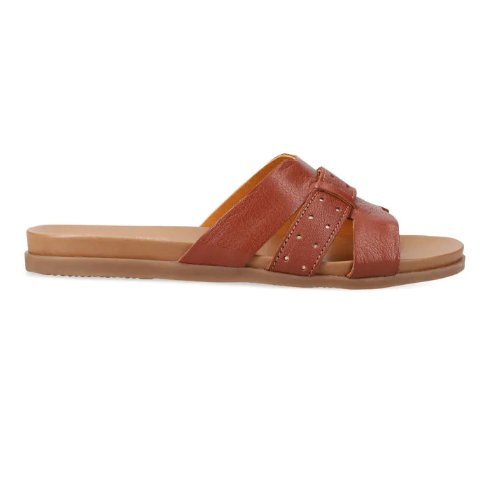 A brown leather slide sandal with two crossed straps, one featuring small silver studs, on a light tan footbed and sole, shown against a plain white background.
