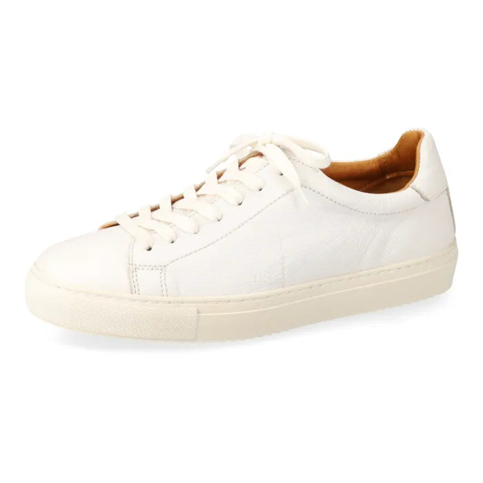 White sneaker on a white background