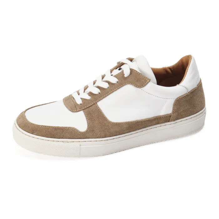 Serengeti : Mens Leather Sneaker in White and Mushroom