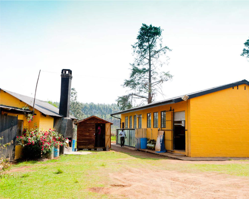 The old school building that Tsonga turned into the Thread of Hope farm where shoes were made on site.