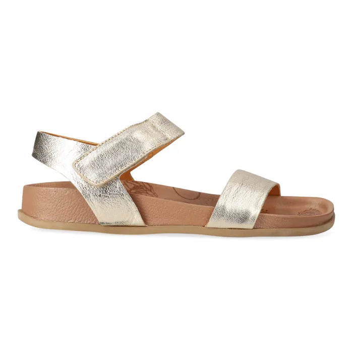 Gold sandal with a white background