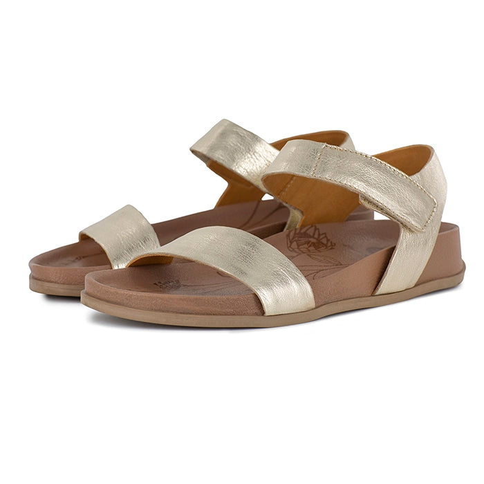 Pair of gold sandals on a white background