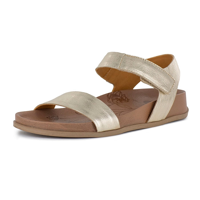 Gold sandal with a brown sole on a white background
