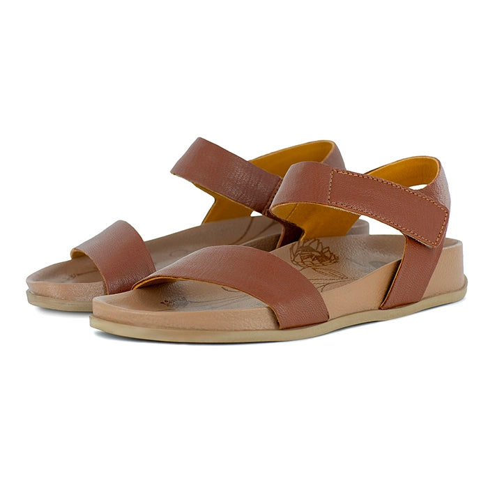 Pair of brown sandals on a white background