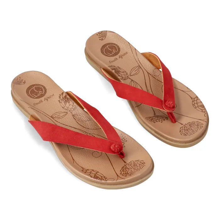 Pair of sandals with red straps on a white background