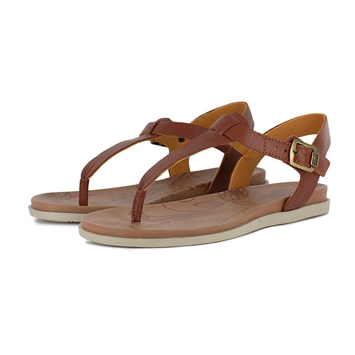 Pair of brown sandals with a gold buckle on a white background