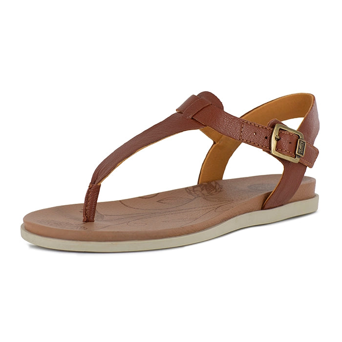Brown sandal with a strap and buckle on a white background