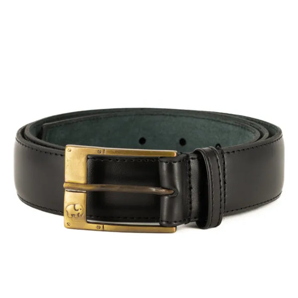Black leather belt with a gold buckle on a white background