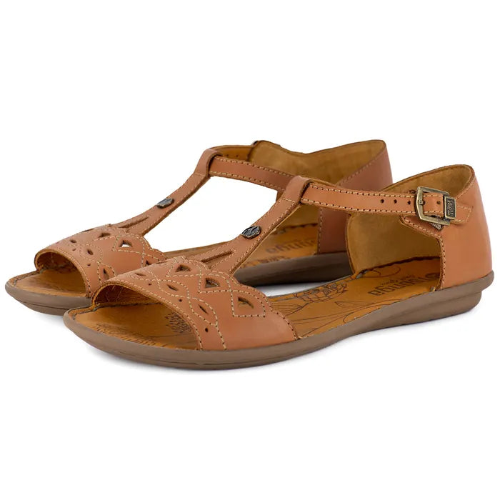 Pair of brown sandals on a white background