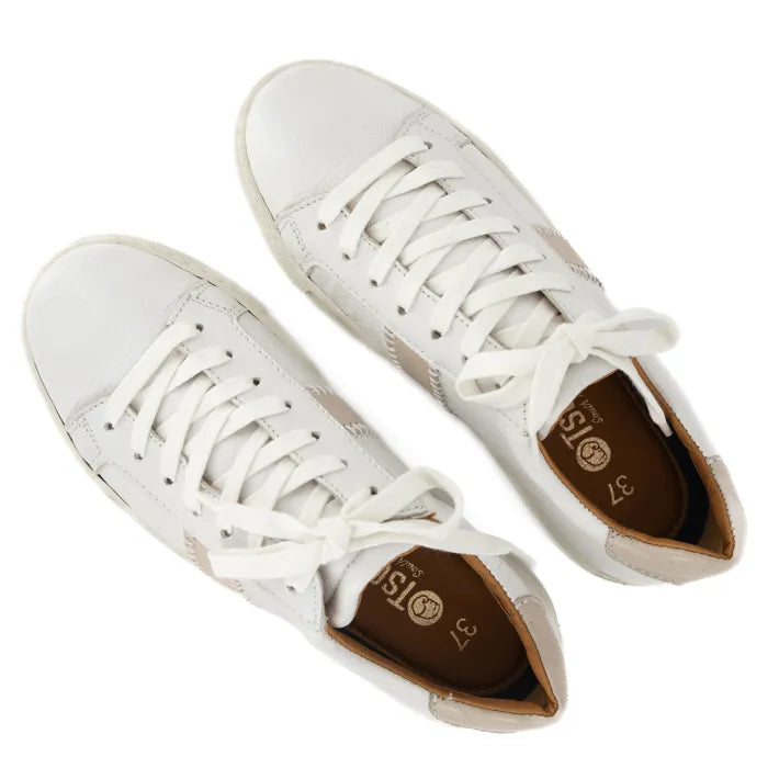 Pair of white sneakers with laces on a white background