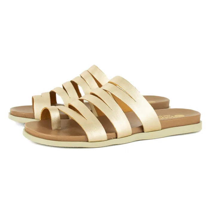 Pair of gold sandals on a white background