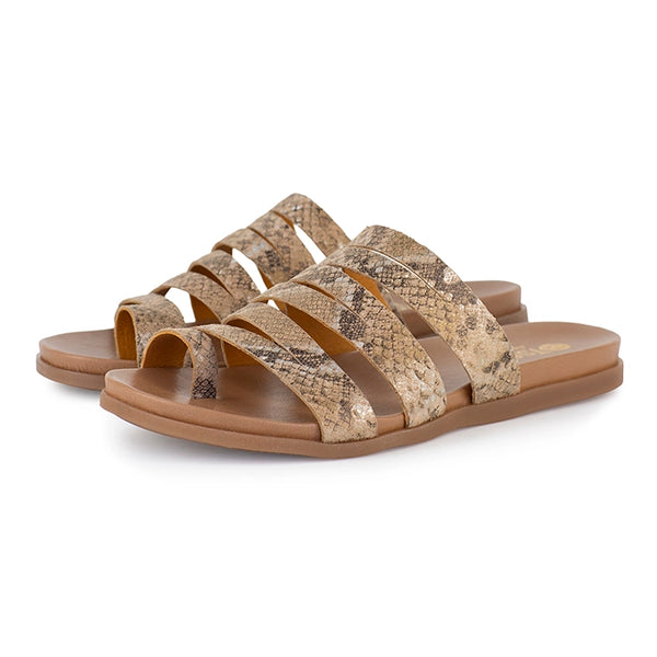 Pair of snake print sandals on a white background