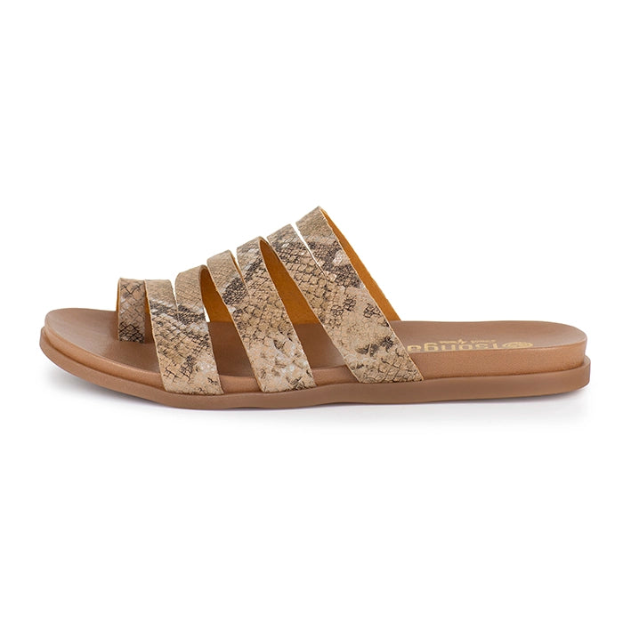 Snake print sandal on a white background