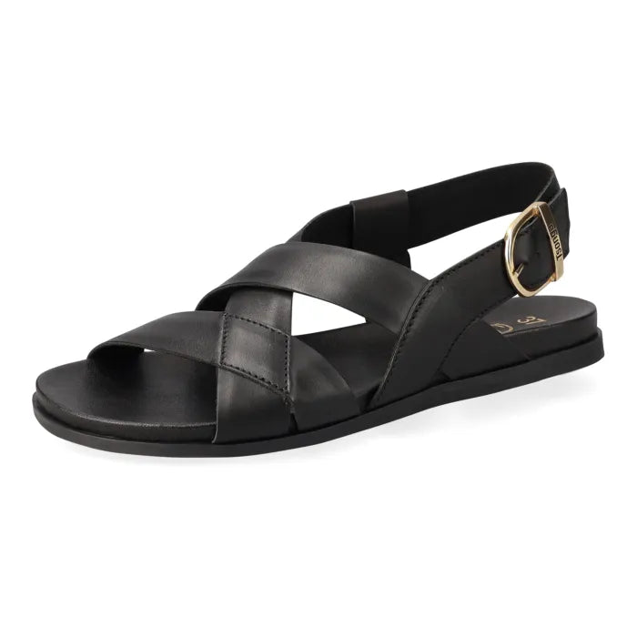 A single black leather sandal with crisscrossing straps, an adjustable ankle strap, and a gold-tone buckle, shown on a plain white background.