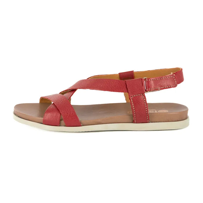 Red sandal with a white background