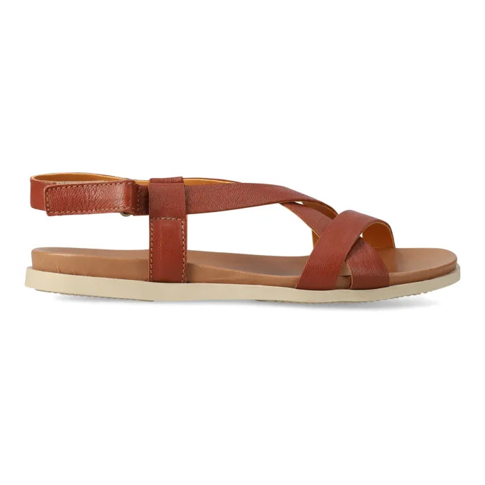 Brown sandals with multiple straps on a white background