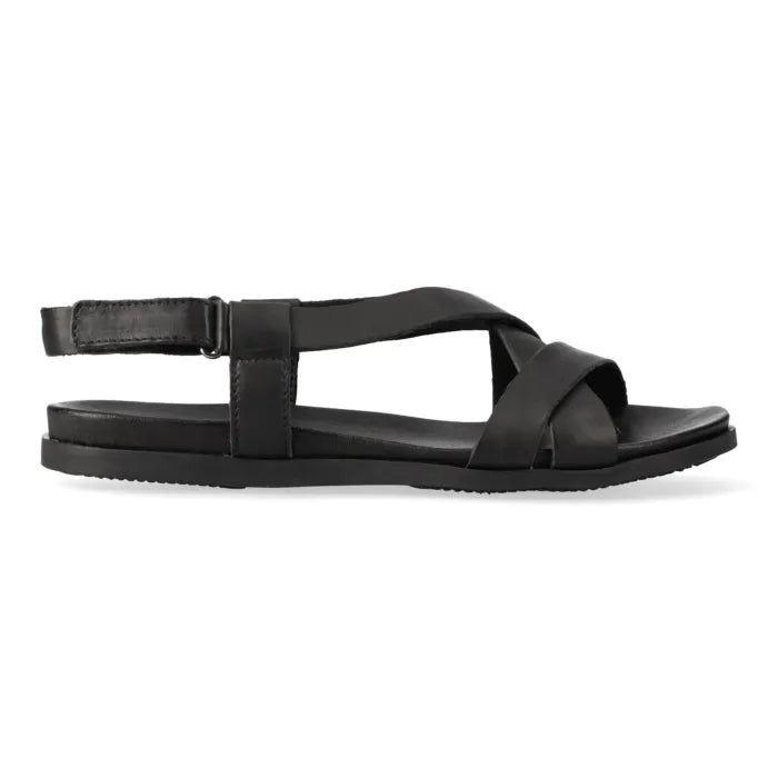 Black sandal with criss-cross straps on a white background