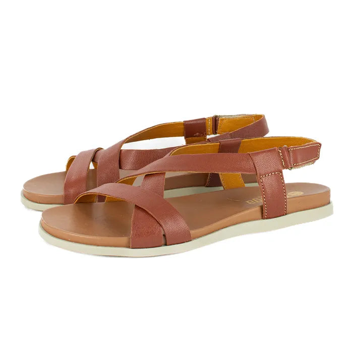 Pair of brown sandals on a white background