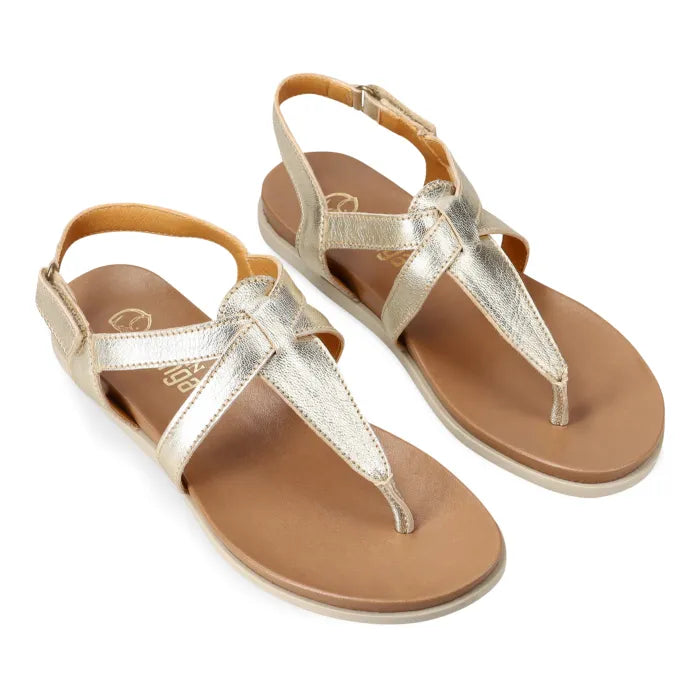A pair of metallic gold T-strap sandals with tan leather footbeds, shown on a clean white background.