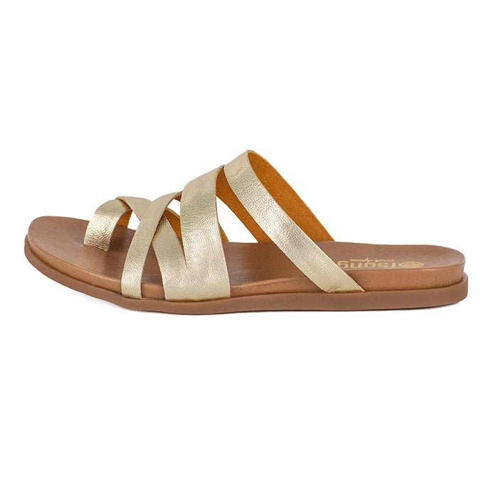 Gold sandal with multiple straps on a white background