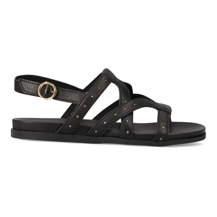 A black leather flat sandal with multiple crisscross straps adorned with small metallic holes, an adjustable ankle strap, and a gold-tone buckle, shown against a plain white background.