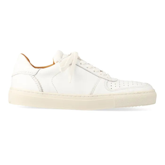 White sneaker on a white background