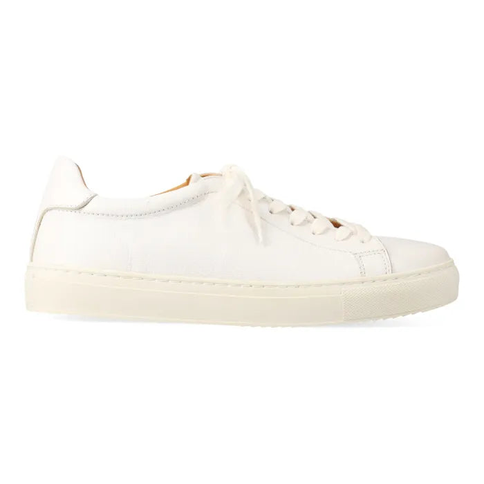 White sneaker on a white background