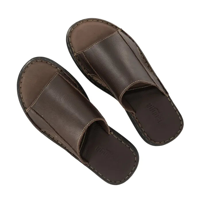 Pair of brown leather sandals on a white background
