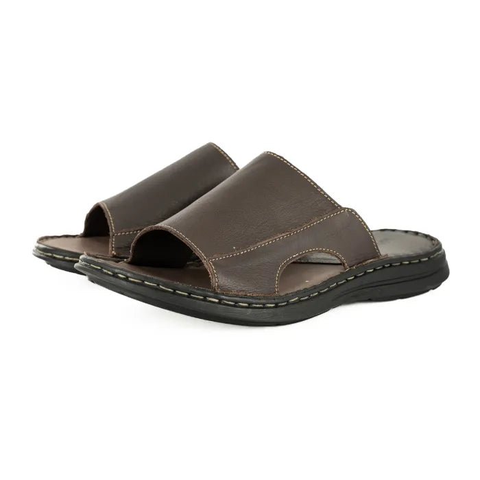 Pair of brown sandals on a white background