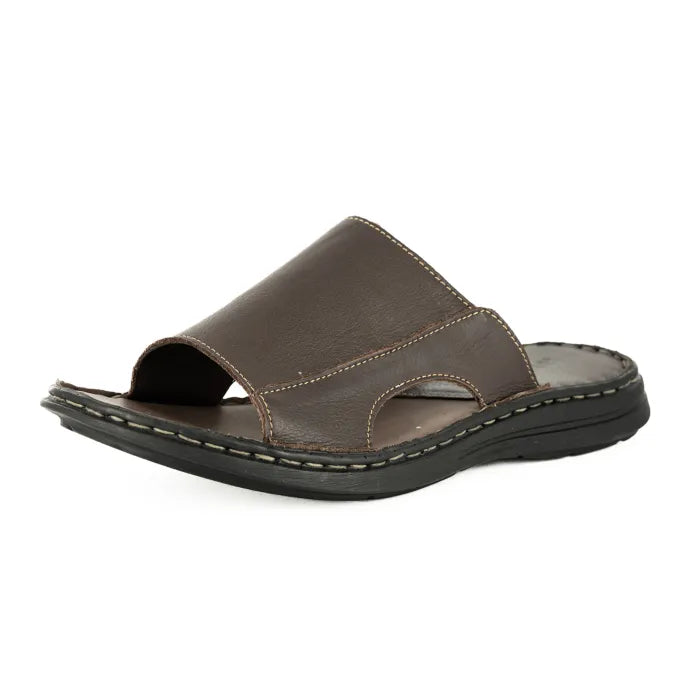 Brown sandal on a white background