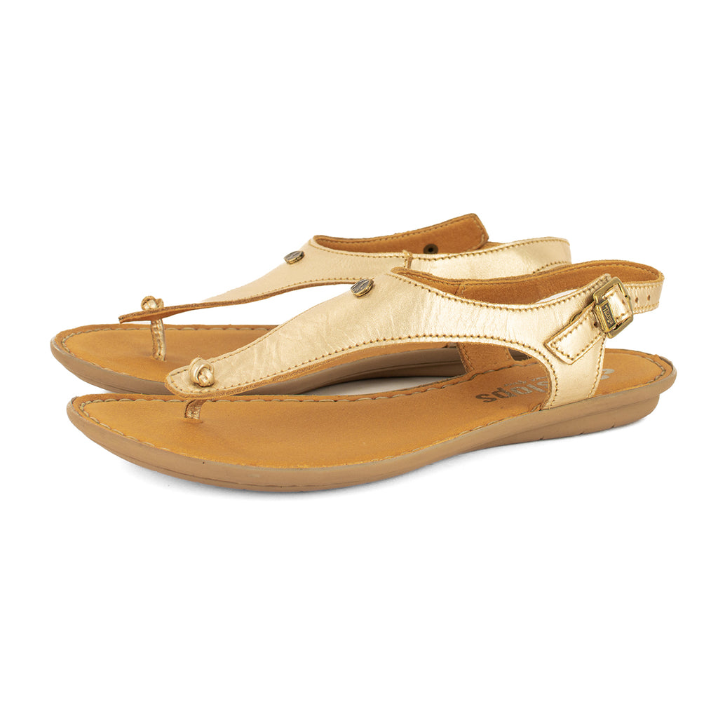Indiamart Ladies Gold Leather Slippers Women Ladies Flat Leather