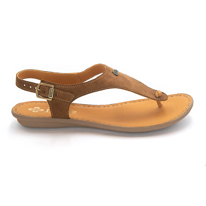 A women's thong sandal in tan suede and tan leather, featuring an adjustable ankle strap with a gold-tone buckle, a small metal emblem on the side, and a contoured tan sole.